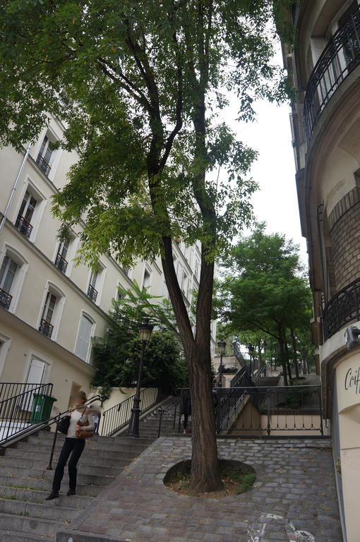 Studios De Charme A Montmartre Париж Экстерьер фото